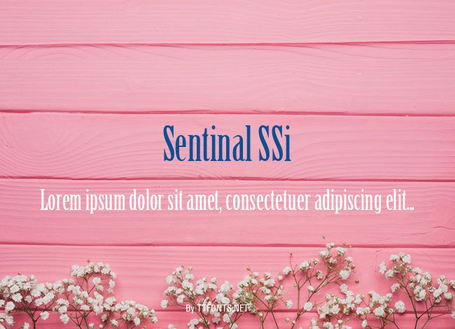 Sentinal SSi example